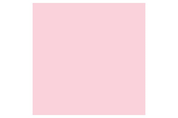 Brush Marker Pale Pink R519